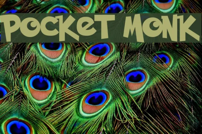 Pocket Monk Example 2