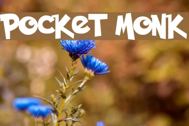 Pocket Monk Example 3