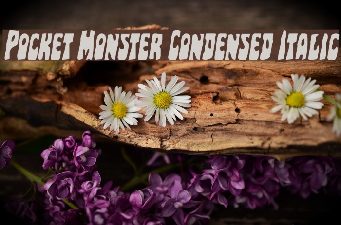 Pocket Monster Condensed Italic Font examples