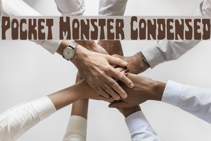 Pocket Monster Condensed Example 2