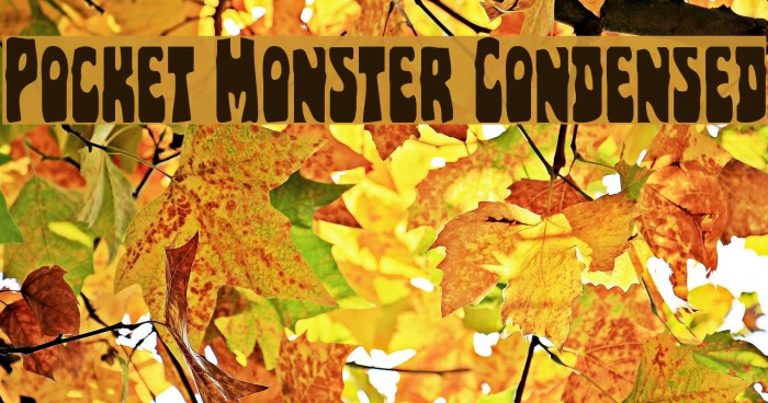 Pocket Monster Condensed Example 3