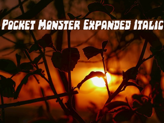 Pocket Monster Expanded Italic Font examples