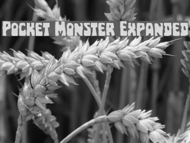 Pocket Monster Expanded Font examples