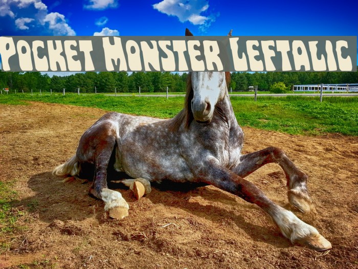 Pocket Monster Leftalic Polices examples