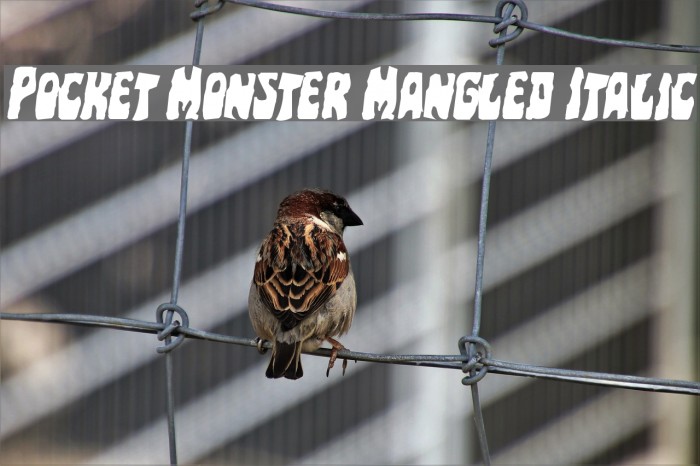 Pocket Monster Mangled Italic Font examples