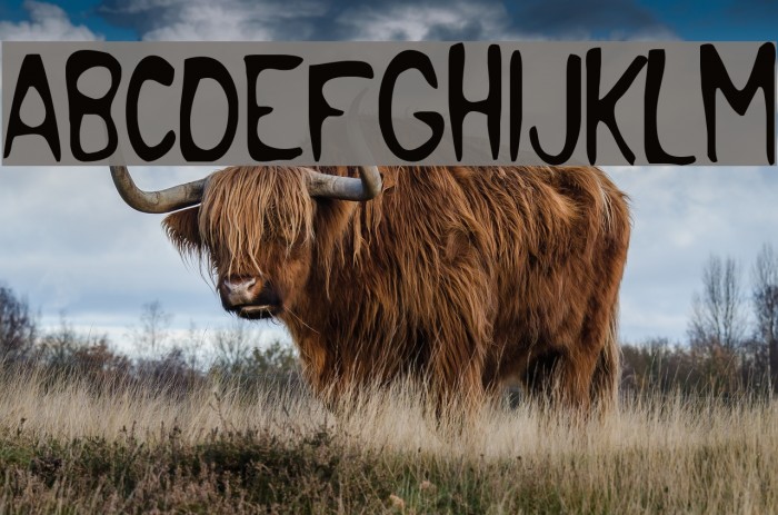 Pocket Monster Example 2