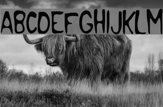 Pocket Monster Font examples