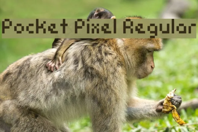 Pocket Pixel Regular Example 3