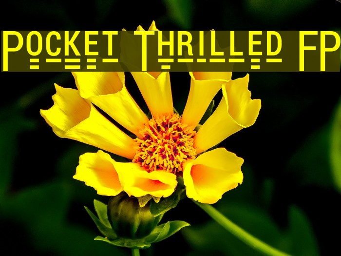 Pocket Thrilled FP Font examples