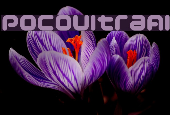 PocoUltraAl Example 3