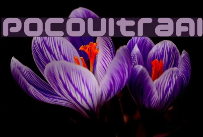 PocoUltraAl Example 3