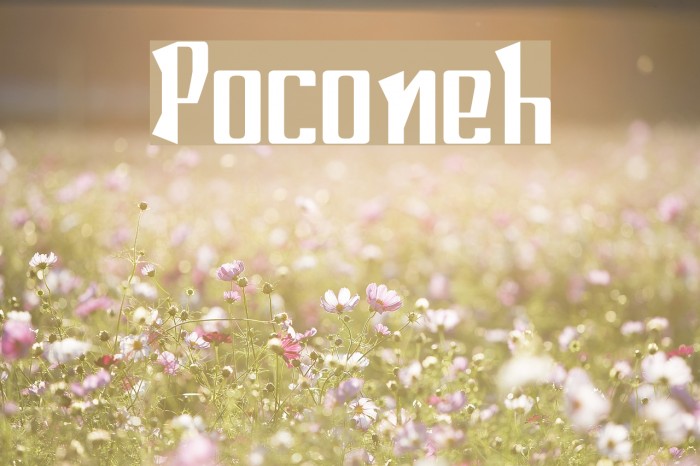 Poconeh Font examples