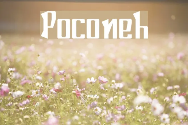 Poconeh Example 1