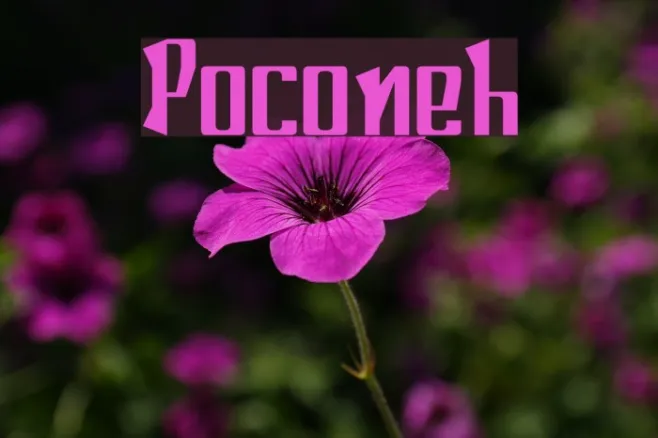 Poconeh Example 2