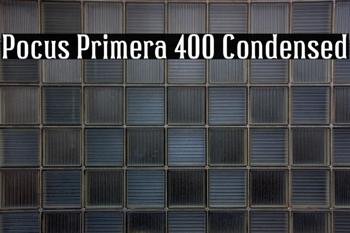 Pocus Primera 400 Condensed Example 3