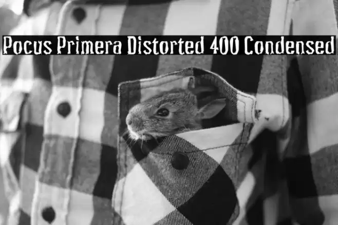 Pocus Primera Distorted 400 Condensed Font examples