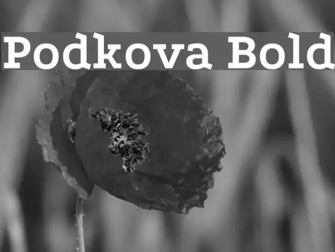 Podkova Bold Font examples