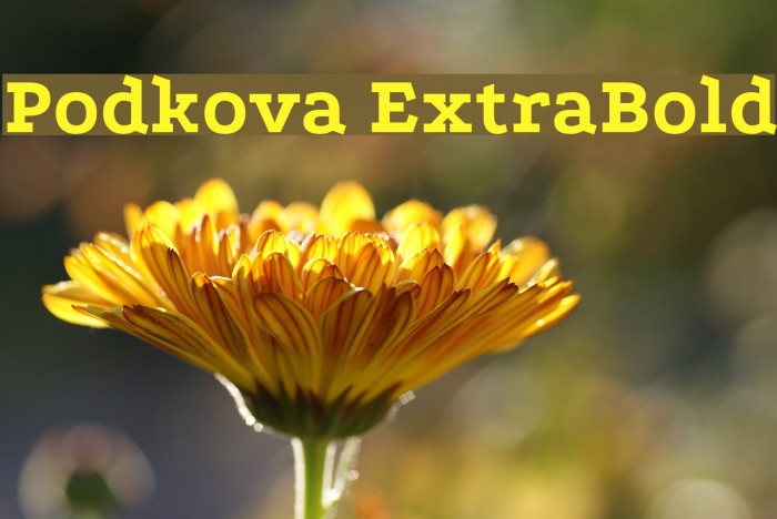 Podkova ExtraBold Font examples