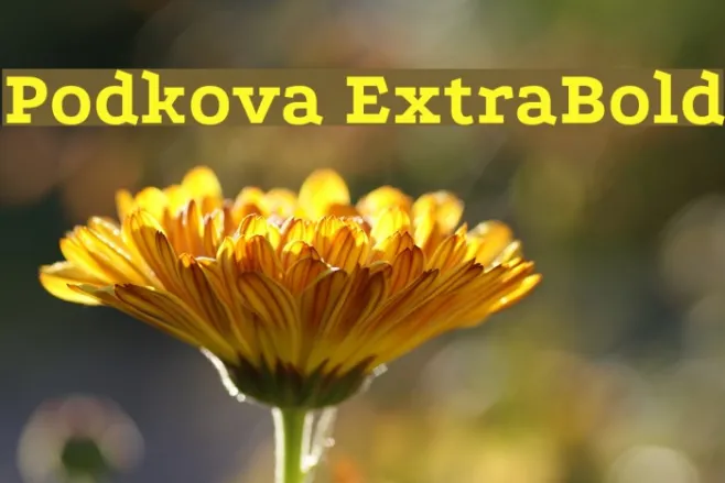 Podkova ExtraBold Example 1