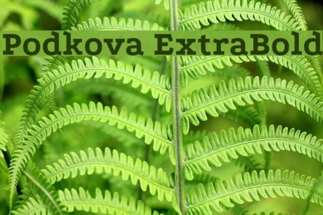 Podkova ExtraBold Example 2