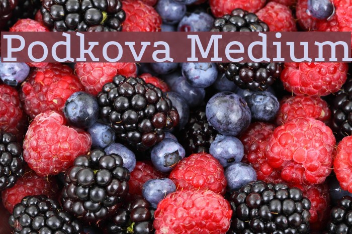Podkova Medium Font examples