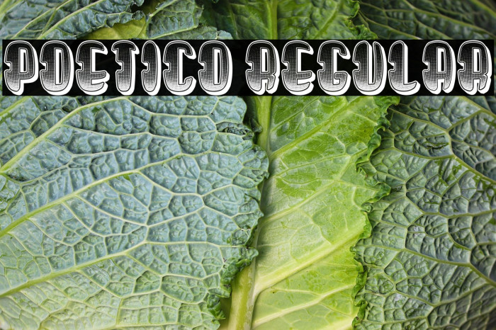 Poetico Regular Example 2