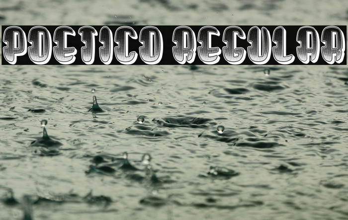 Poetico Regular Example 3