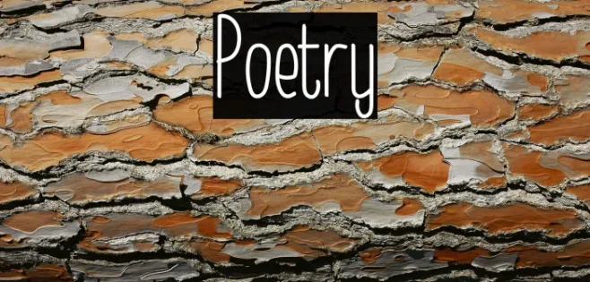 Poetry Example 2