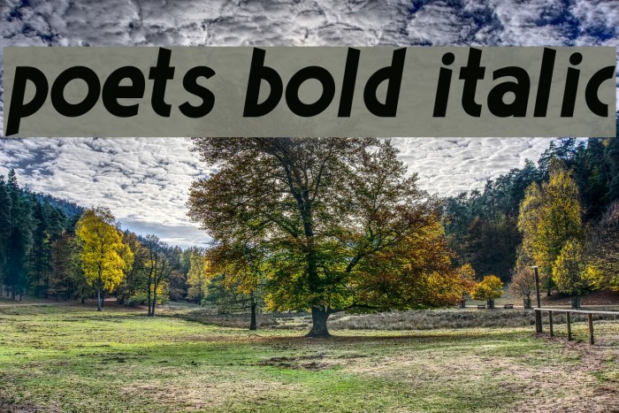 Poets Bold Italic Font examples