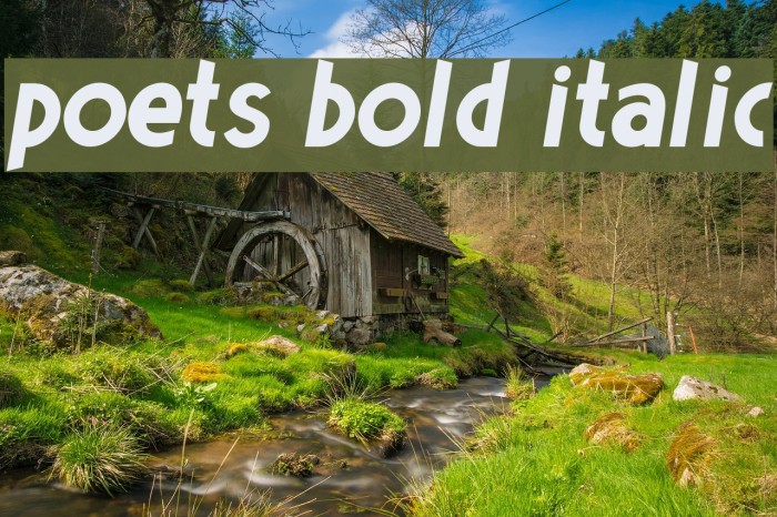 Poets Bold Italic Font examples