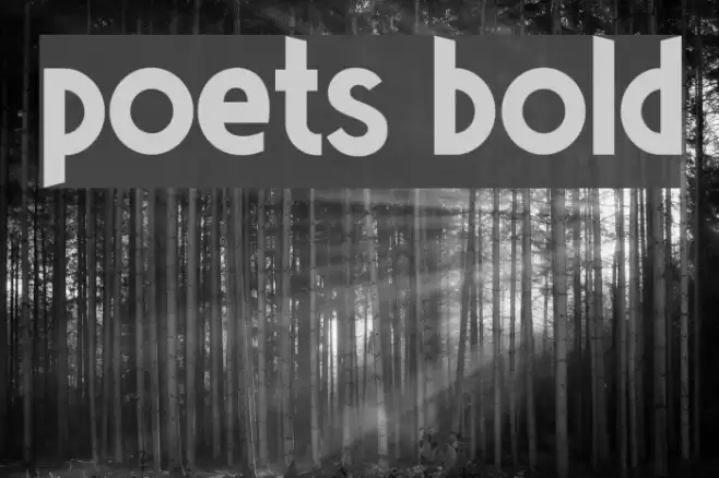 Poets Bold Font examples