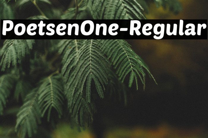 PoetsenOne-Regular Example 3