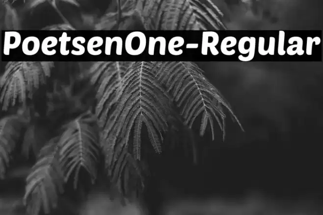 PoetsenOne-Regular Fuentes examples