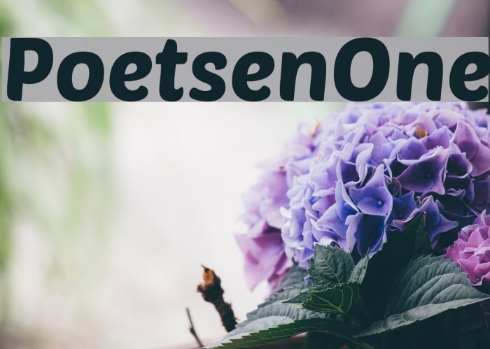 PoetsenOne Font examples