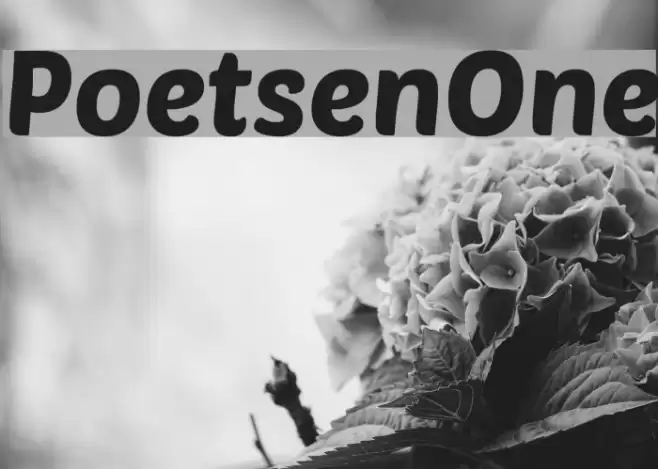 PoetsenOne Font examples
