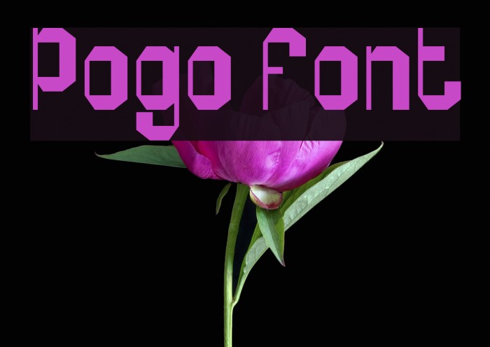 Pogo Font examples