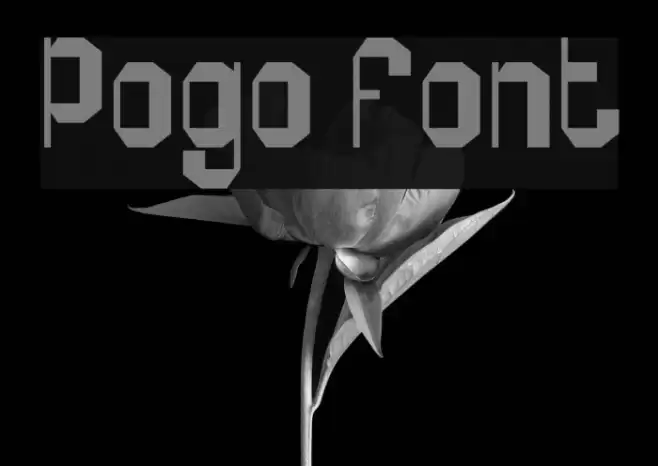 Pogo Font examples