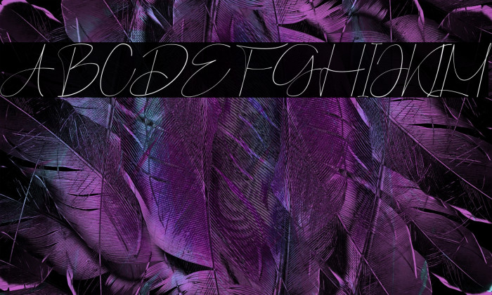 Pographic Italic Example 3