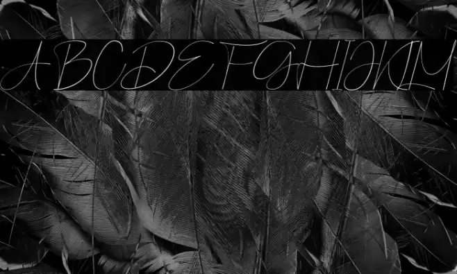 Pographic Italic Fuentes examples