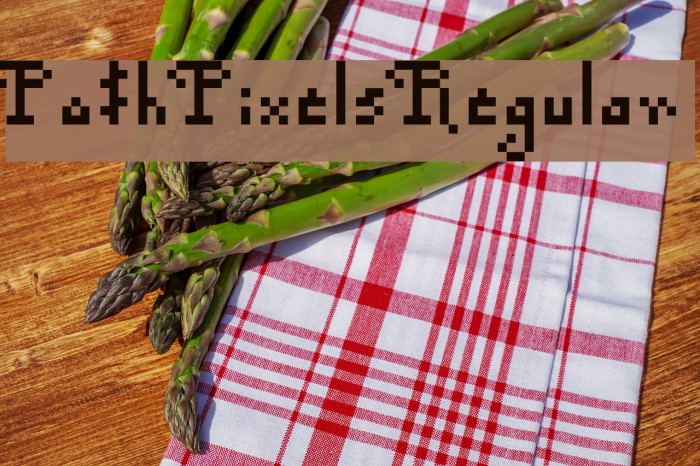 Po$h Pixels Regular Font examples