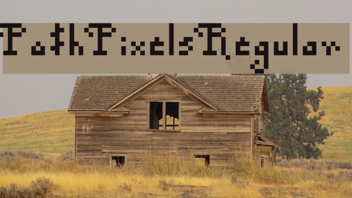 Po$h Pixels Regular Font examples