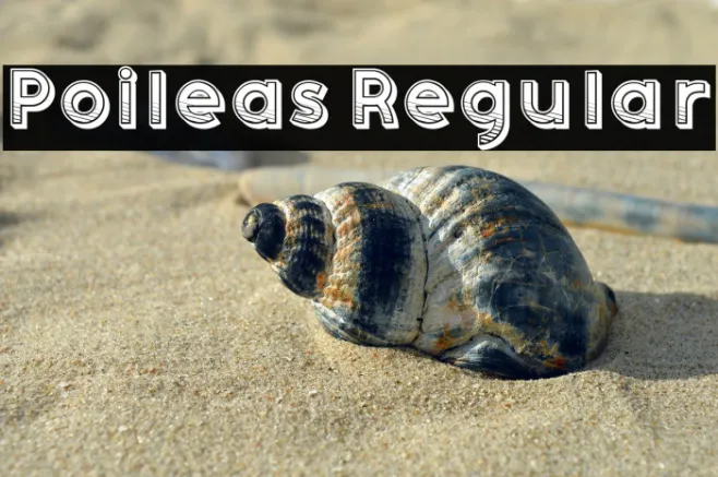 Poileas Regular Example 2