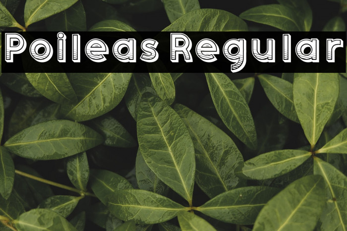 Poileas Regular Example 3