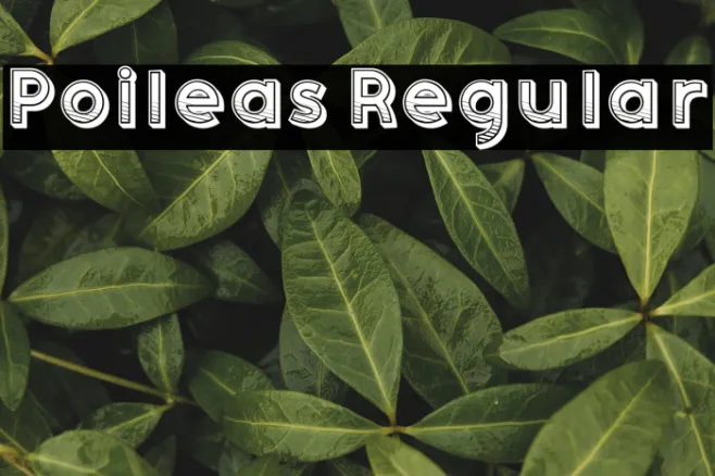 Poileas Regular Example 3
