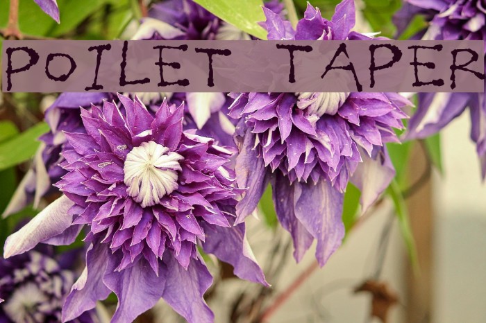Poilet Taper Font examples