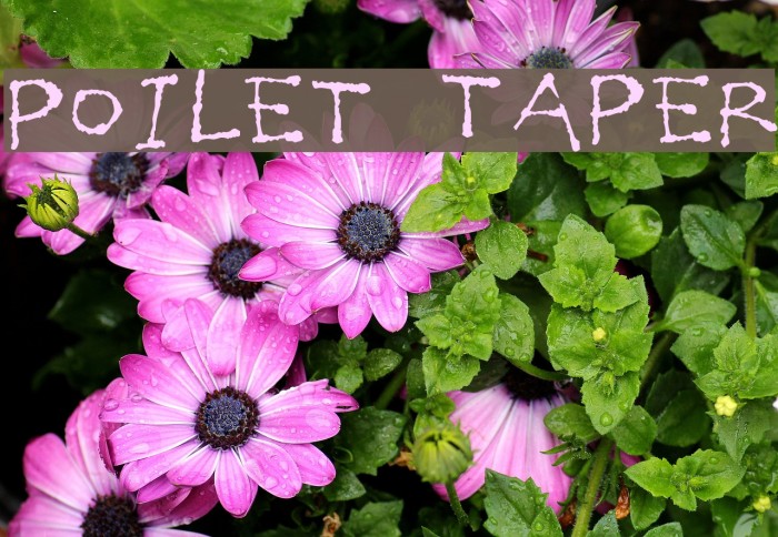 Poilet Taper Font examples
