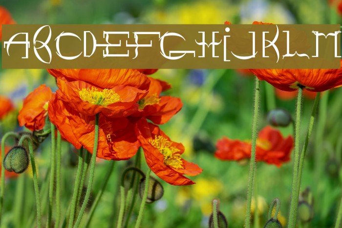 Point Brackett Example 3