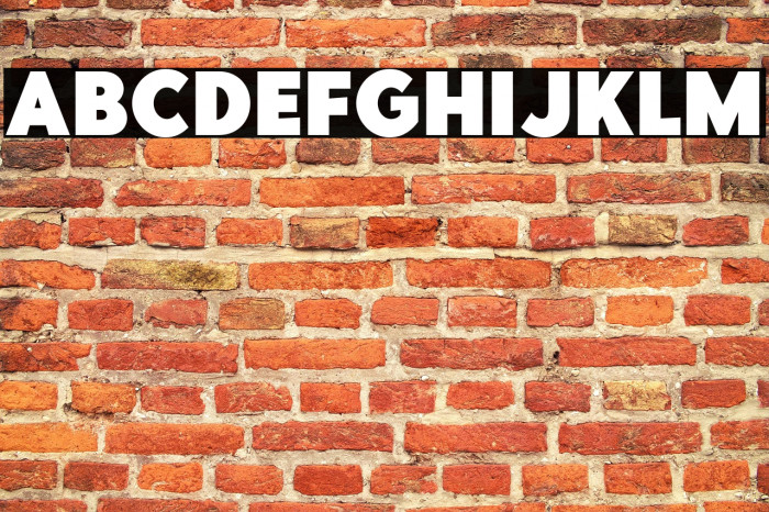 PointPantherDEMO-Bold Example 2