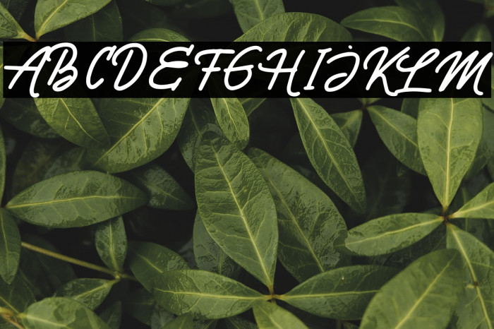 PointSmileDEMO Example 1