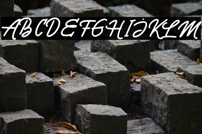 PointSmileDEMO Example 3